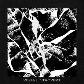 Introvert album cover