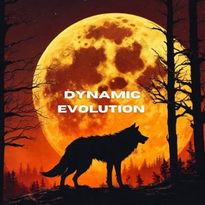 Dynamic Evolution album cover