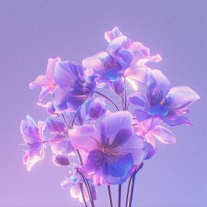 S + R album cover
