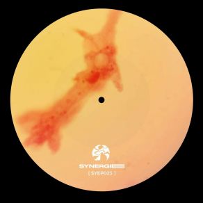 Parallel Realities (Syep023) album cover