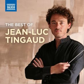 The Best Of Jean-Luc Tingaud album cover