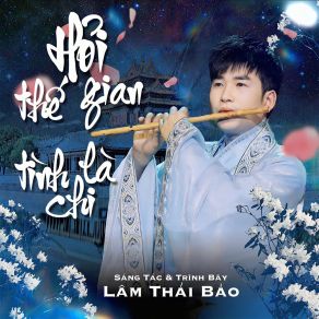 Hỏi Thế Gian Tình Là Chi album cover