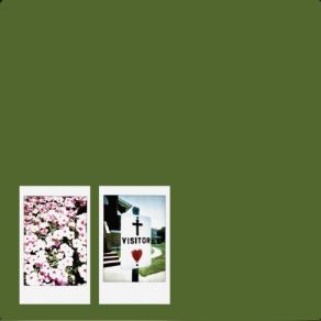 Visitor album cover