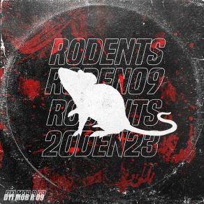 R 09 album cover