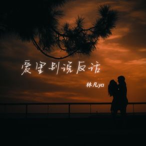 爱里别说反话 album cover