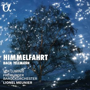 Bach & Telemann: Himmelfahrt album cover