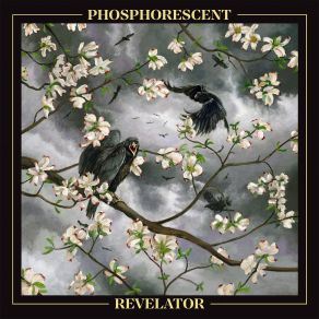 Revelator album cover