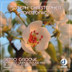 Retro Groove album cover