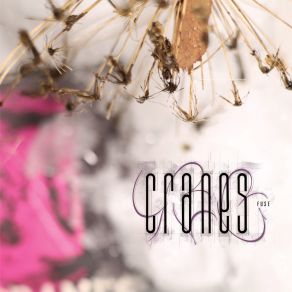 Fuse album cover
