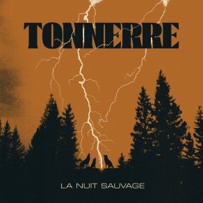 La Nuit Sauvage album cover