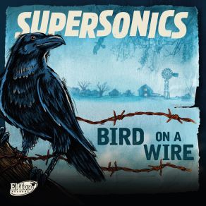 Bird On A Wire album cover