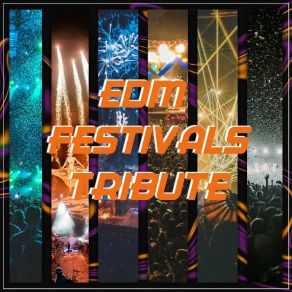 EDM Festivals Tribute album cover