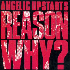 Reason Why? album cover