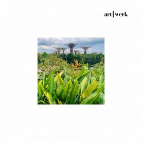All I Want album cover