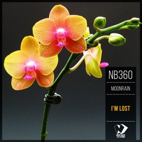 I'm Lost (Original Mix) album cover