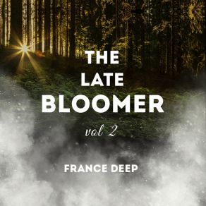 The Late Bloomer, Vol. 2 album cover