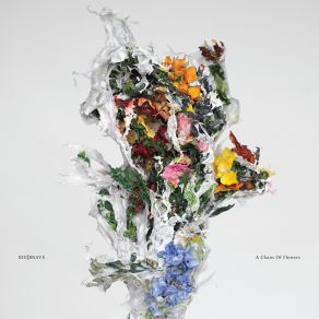 A Chaos Of Flowers album cover