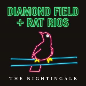 The Nightingale (Single) album cover