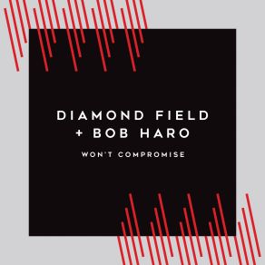 Won T Compromise album cover
