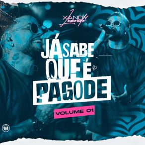 Já Sabe Que É Pagode, Vol. 1 (Ao Vivo) album cover