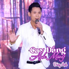 Cay Đắng Anh Mang album cover