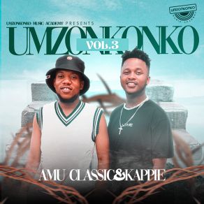 Umzonkonko Vol. 3 album cover