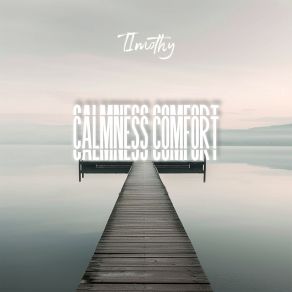Calmness Comfort album cover