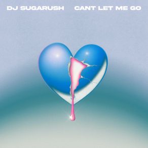 Can't Let Me Go album cover