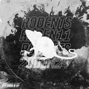 R 11 album cover