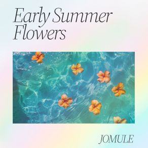Early Summer Flowers album cover