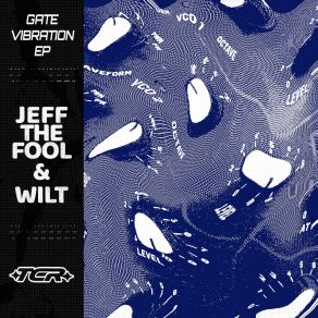 Gate Vibration album cover