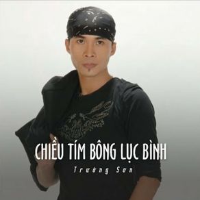 Chiều Tím Bông Lục Bình album cover