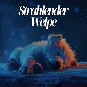 Strahlender Welpe album cover