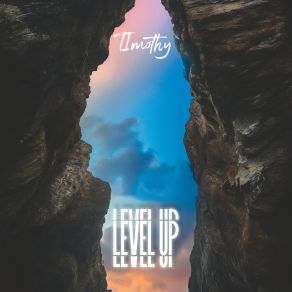 Level Up album cover