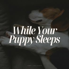 While Your Puppy Sleeps album cover