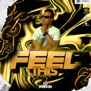 Feel This Vol. 2 album cover