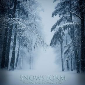 Snowstorm album cover