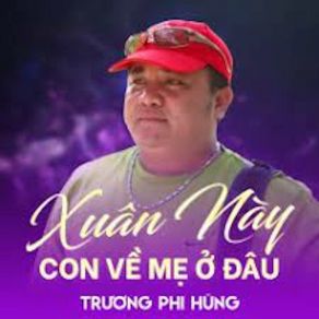Xuân Này Con Về Mẹ Ở Đâu album cover