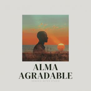 Alma Agradable album cover