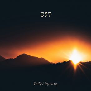Beautiful Beginnings album cover