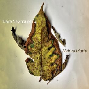 Natura Morta album cover