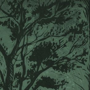 Arroyo Tree Complex album cover