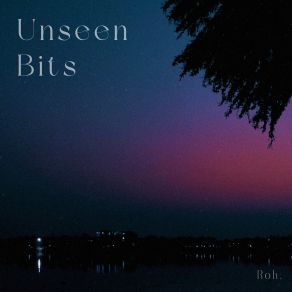 Unseen Bits album cover