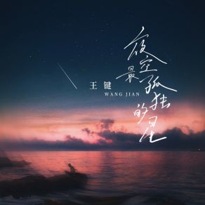 夜空最孤独的星 album cover