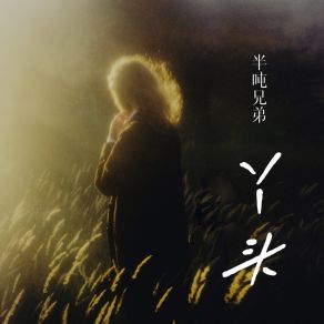 丫头 album cover