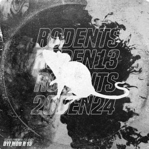 R 13 album cover