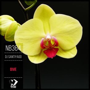 Dive (Original Mix) album cover