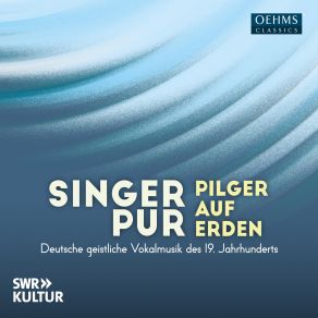 Pilger Auf Erden. Vokale Pfade Durchs 19. Jahrhundert album cover