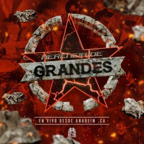 En Vivo Desde Anaheim, CA (En Vivo) album cover
