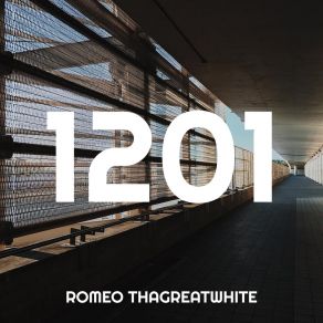 1201 album cover